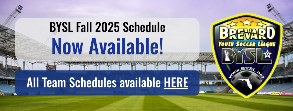 Team Schedules 